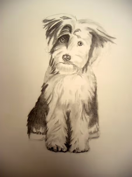 image from hobby Art