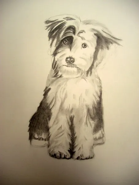 image from hobby Art